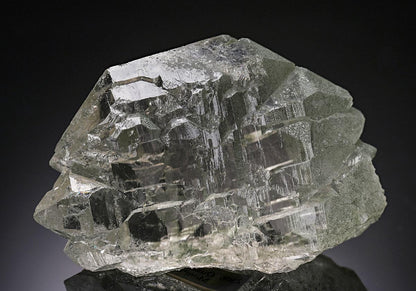 CC19776 specimen image