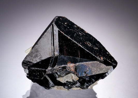 CC19802 specimen image