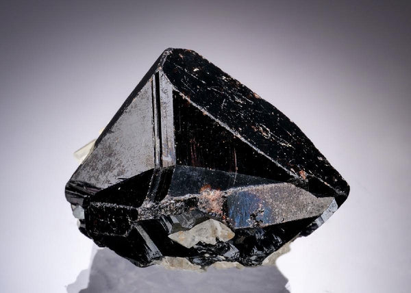 CC19802 specimen image