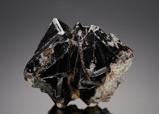 CC19810 specimen image