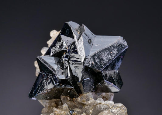 CC19816 specimen image