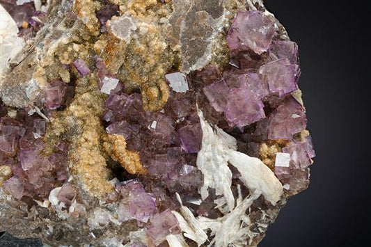 CC19819 specimen image