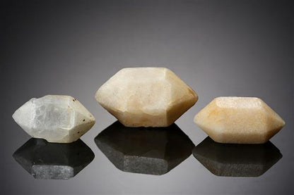 CC19849 specimen image