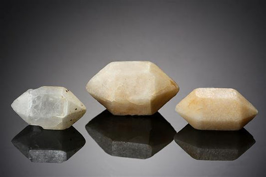 CC19849 specimen image