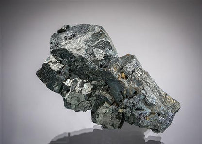 CC19859 specimen image