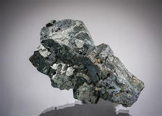 CC19859 specimen image