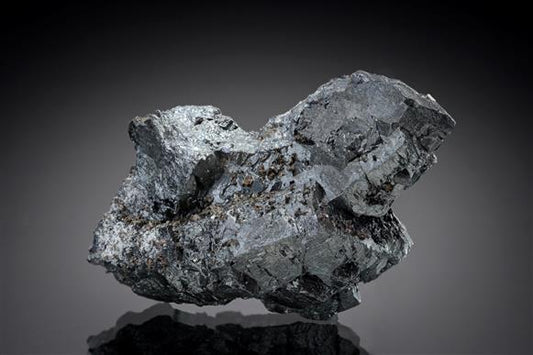 CC19862 specimen image