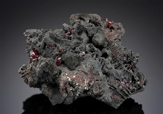 CC19865 specimen image