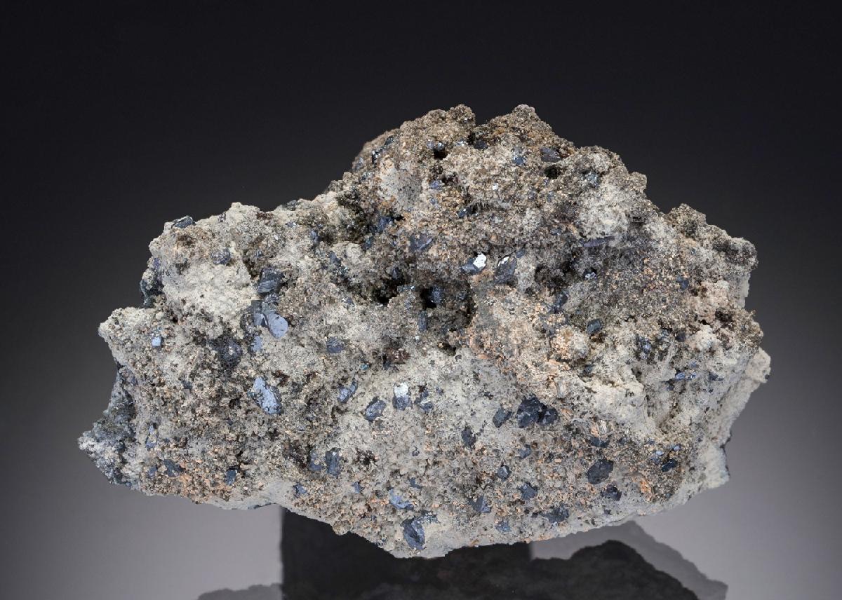 CC19871 specimen image