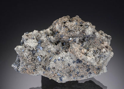 CC19871 specimen image