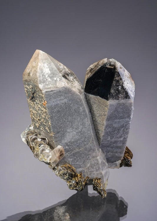 CC19883 specimen image