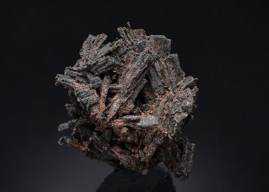 CC19885 specimen image