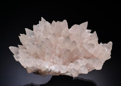 CC19889 specimen image