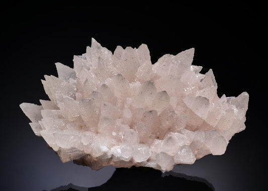 CC19889 specimen image