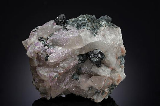 CC19892 specimen image