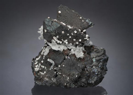 CC1990 specimen image