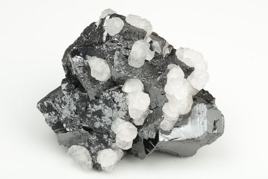 CC19902 specimen image