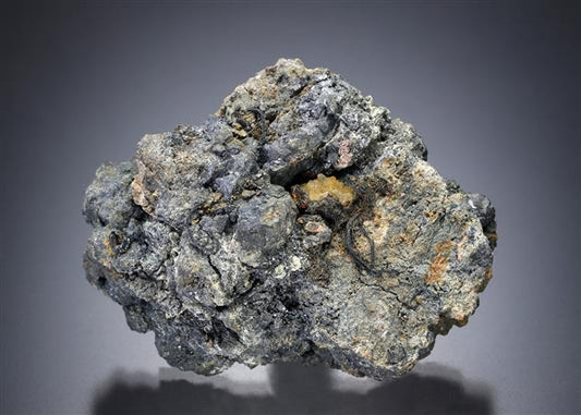 CC19904 specimen image