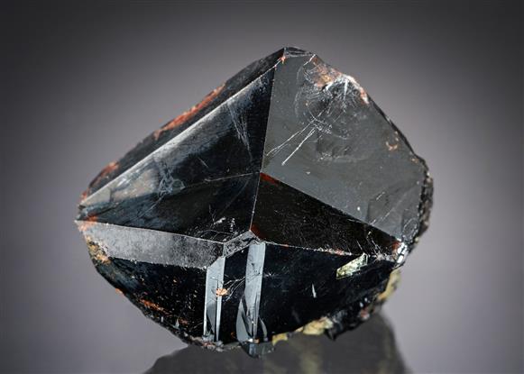 CC19915 specimen image