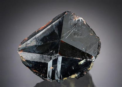 CC19915 specimen image