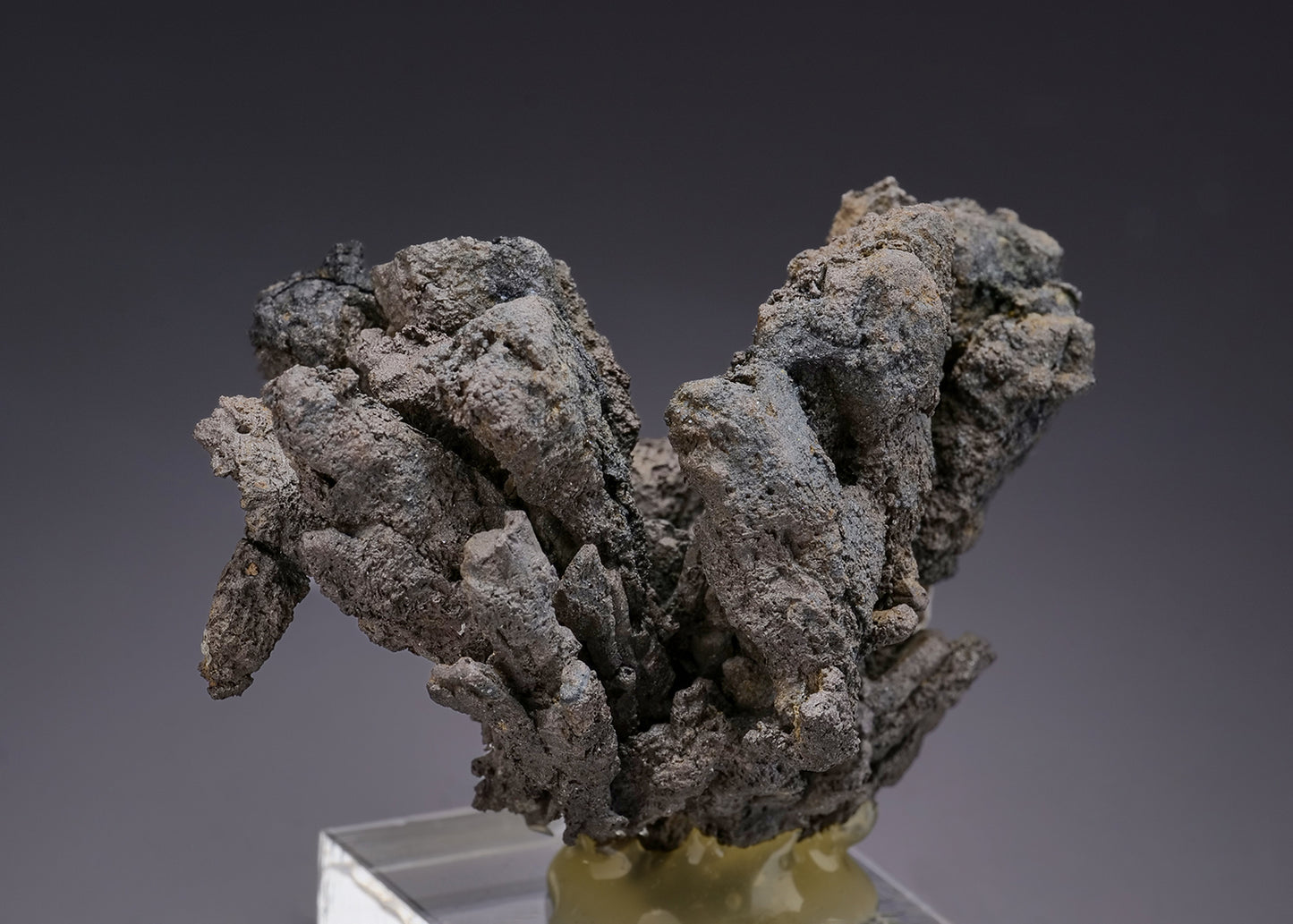 NATIVE SILVER ps. after PYRARGYRITE