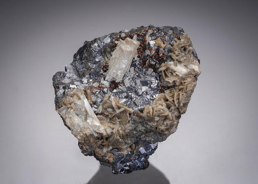CC19939 specimen image