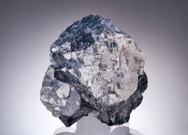CC19943 specimen image