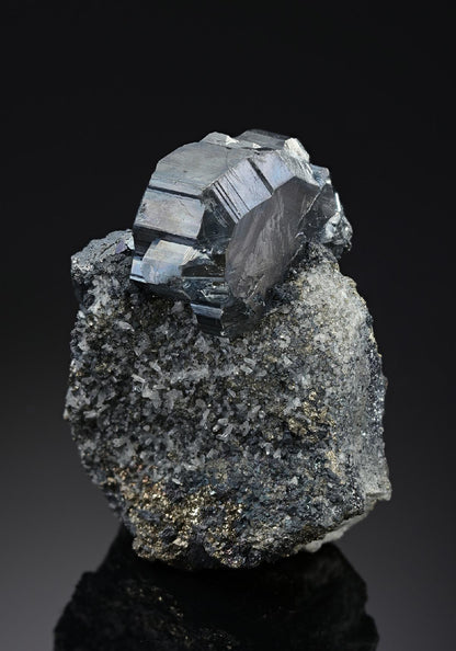 CC19963 specimen image