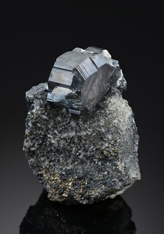 CC19963 specimen image