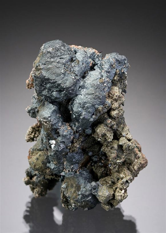 CC19979 specimen image