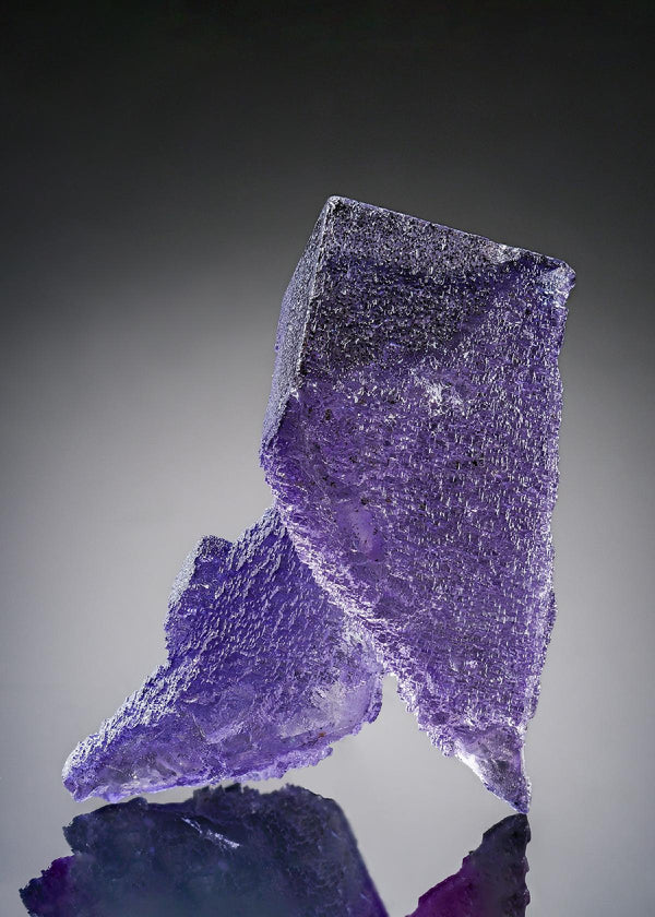 CC20021 specimen image