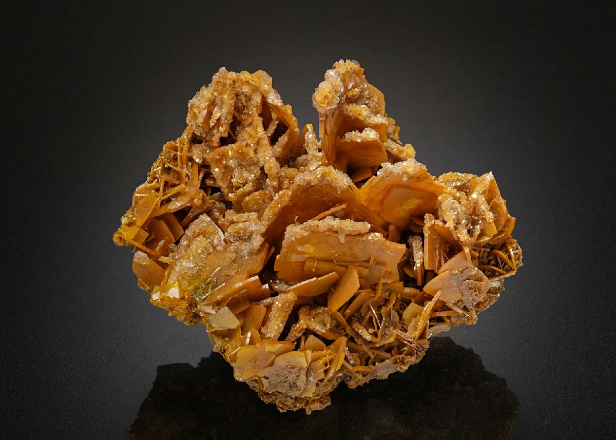 CC20026 specimen image