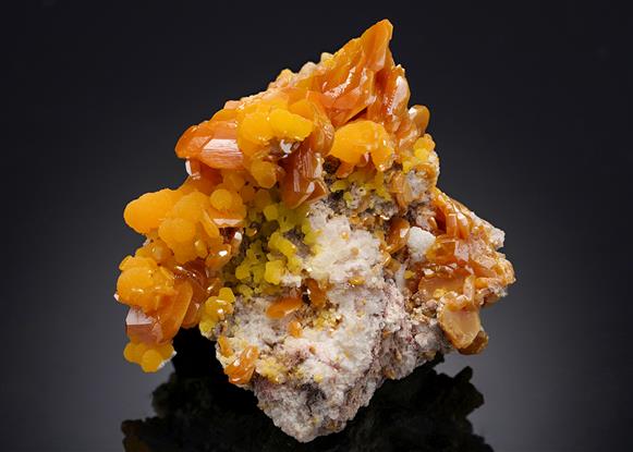 CC20043 specimen image