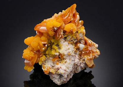 CC20043 specimen image