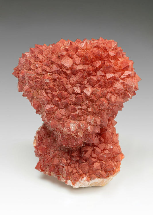 CC20061 specimen image