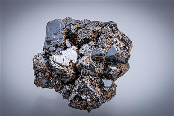 CC20077 specimen image