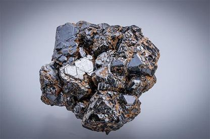 CC20077 specimen image
