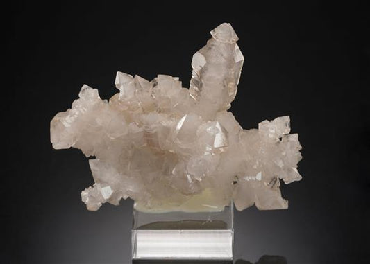 CC20079 specimen image