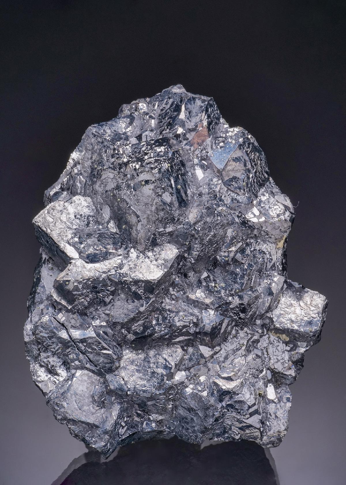 CC20085 specimen image