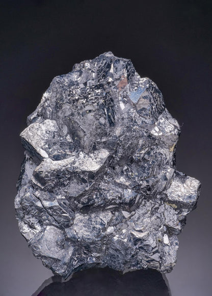 CC20085 specimen image
