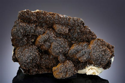 CC20096 specimen image