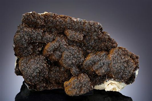 CC20096 specimen image