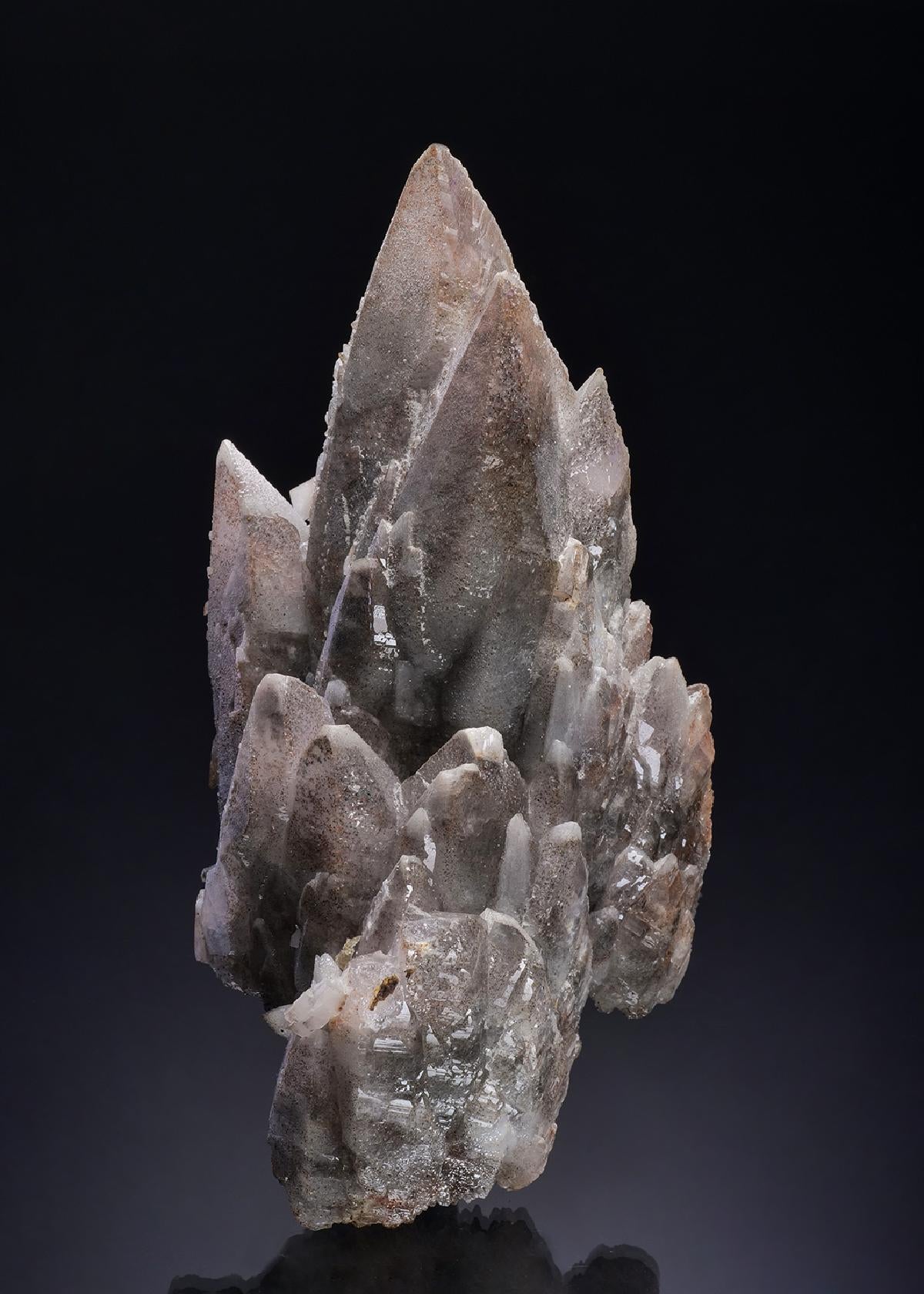 CC20104 specimen image