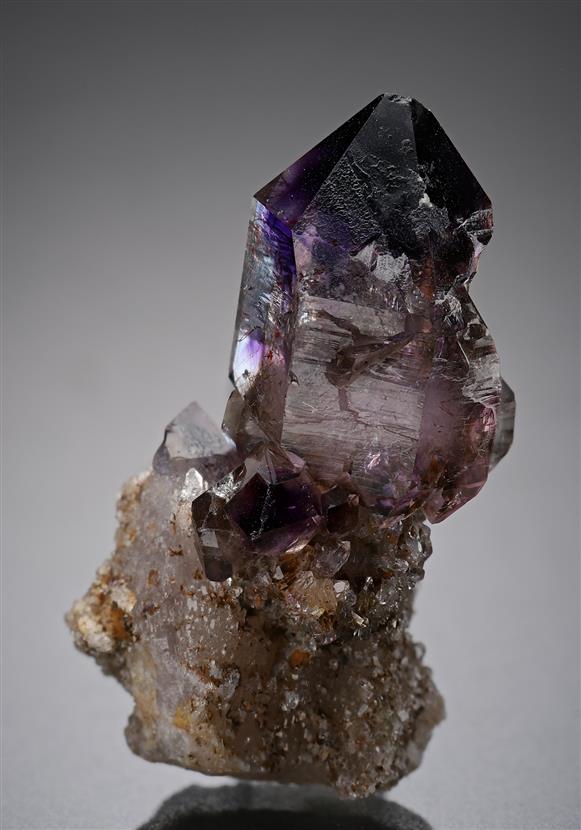 CC20115 specimen image