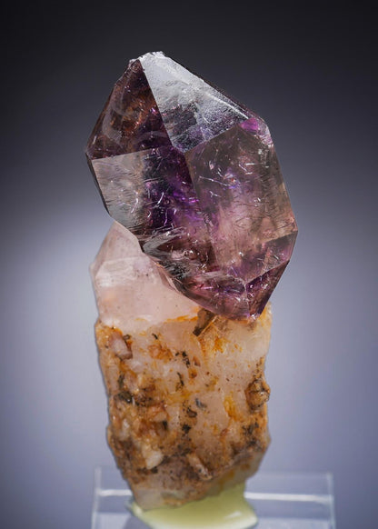 CC20119 specimen image