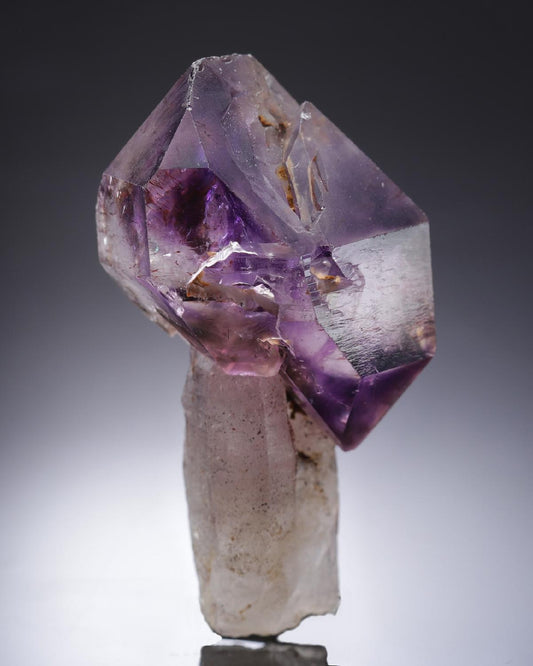 CC20126 specimen image