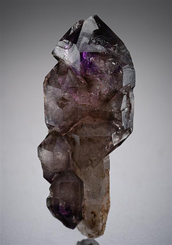 CC20127 specimen image