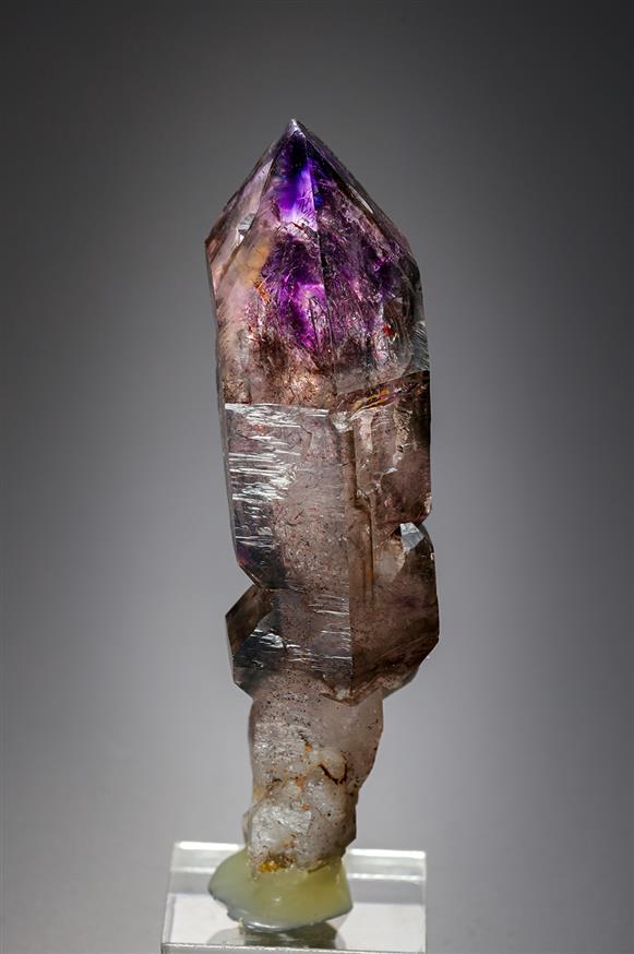 CC20138 specimen image
