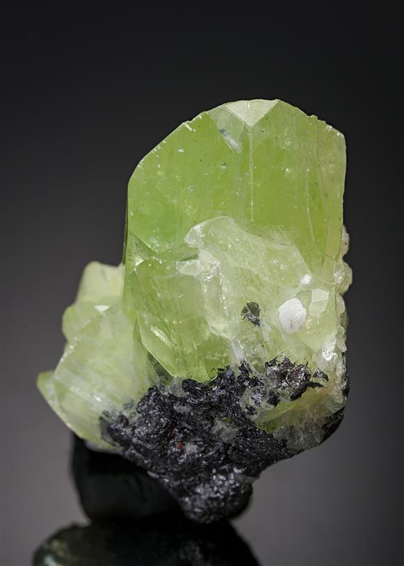 CC20142 specimen image