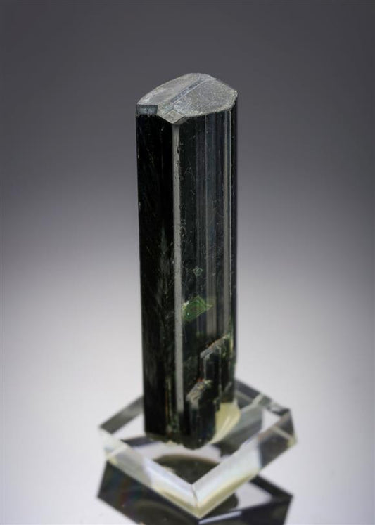CC20144 specimen image